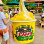 Dole Whip Ice Cream from Dole Plantation in Hawaii