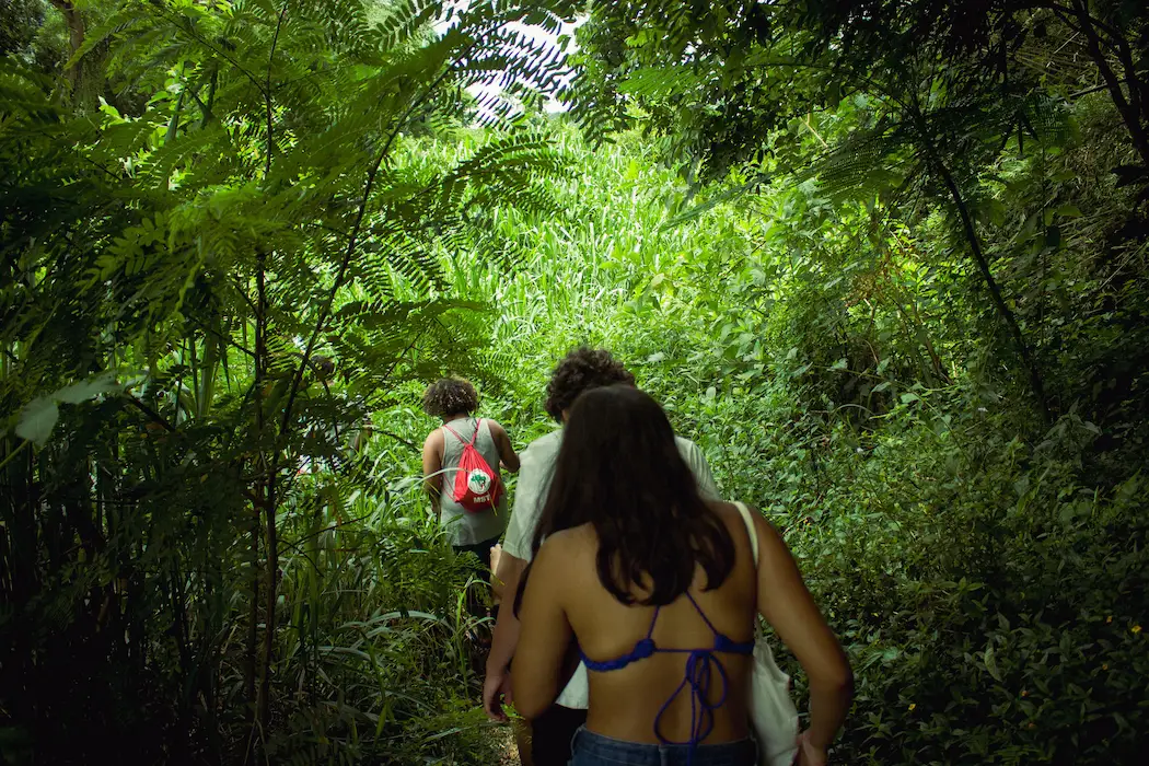 Private Hiking Tour in Hawaii Jungle