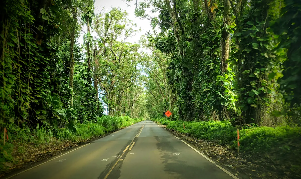 Road to the Pali lookout In Oahu Hawaii
