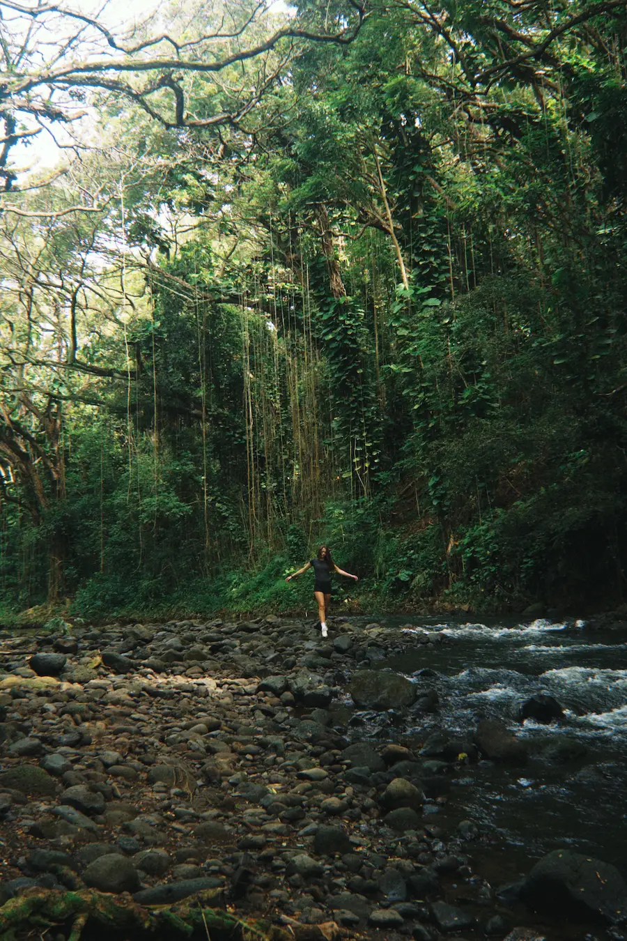Group exploring the jungle in Hawaii